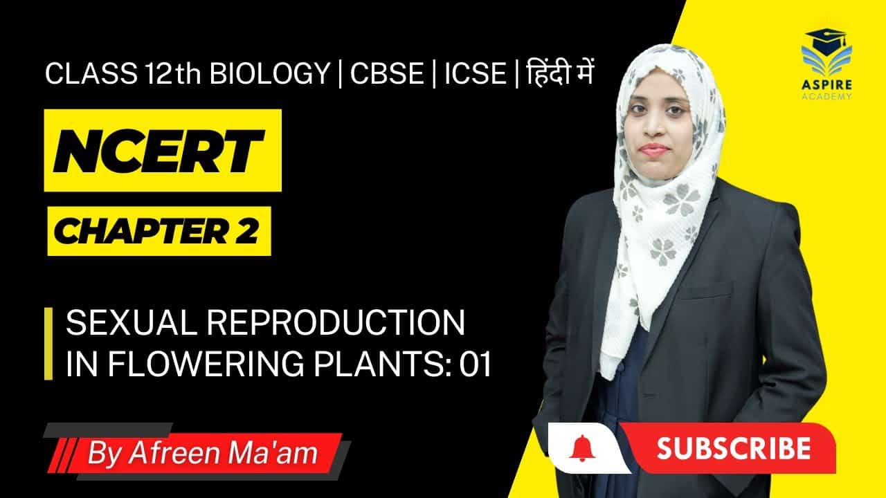 Sexual Reproduction in Flowering Plants Class 12 Biology | For CBSE, ICSE, and NEET